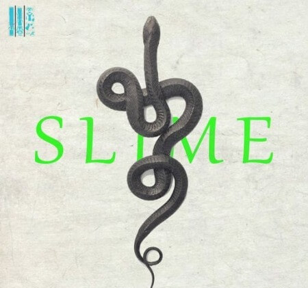 Loops 4 Producers Slime Vol.1 WAV